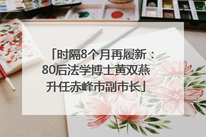 时隔8个月再履新：80后法学博士黄双燕升任赤峰市副市长