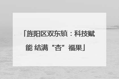旌阳区双东镇：科技赋能 结满“杏”福果