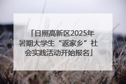 日照高新区2025年暑期大学生“返家乡”社会实践活动开始报名