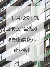 日月股份：巩固核心产品优势 积极拓展多元化业务