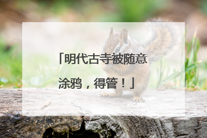 明代古寺被随意涂鸦，得管！