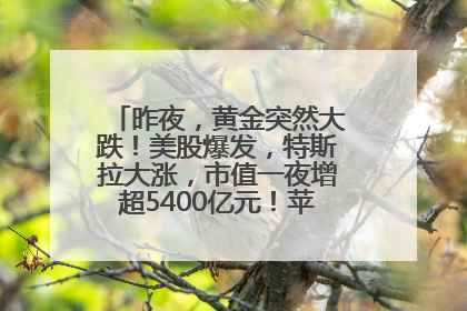 昨夜，黄金突然大跌！美股爆发，特斯拉大涨，市值一夜增超5400亿元！苹果传来大消息