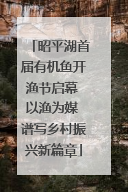 昭平湖首届有机鱼开渔节启幕 以渔为媒 谱写乡村振兴新篇章