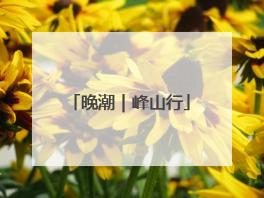 晚潮｜峰山行