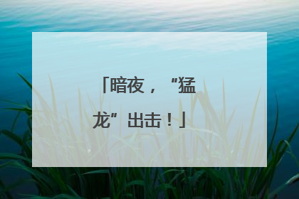 暗夜，“猛龙”出击！