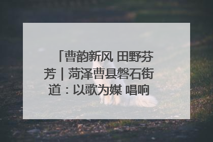 曹韵新风 田野芬芳｜菏泽曹县磐石街道：以歌为媒 唱响乡土“新歌声”