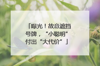 曝光！故意遮挡号牌，“小聪明”付出“大代价”