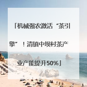 机械强农激活“茶引擎”！清镇中坝村茶产业产能提升50%