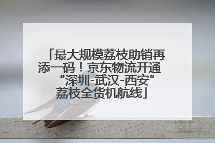 最大规模荔枝助销再添一码！京东物流开通“深圳-武汉-西安” 荔枝全货机航线