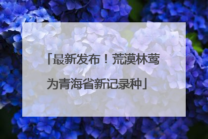 最新发布！荒漠林莺为青海省新记录种