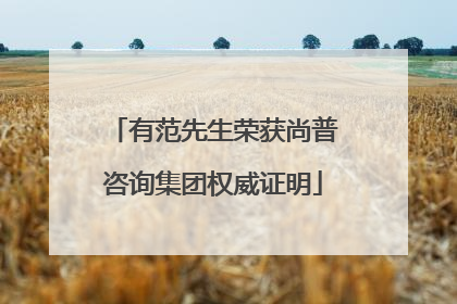有范先生荣获尚普咨询集团权威证明