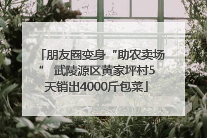 朋友圈变身“助农卖场” 武陵源区黄家坪村5天销出4000斤包菜