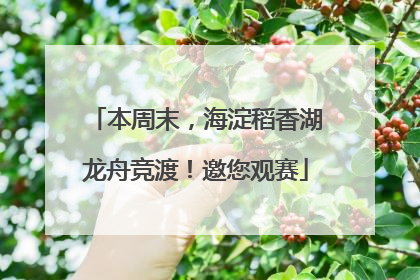本周末，海淀稻香湖龙舟竞渡！邀您观赛