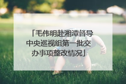 毛伟明赴湘潭督导中央巡视组第一批交办事项整改情况