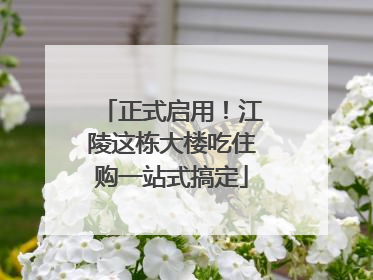 正式启用！江陵这栋大楼吃住购一站式搞定