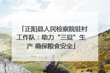 正阳县人民检察院驻村工作队：助力“三夏”生产 确保粮食安全