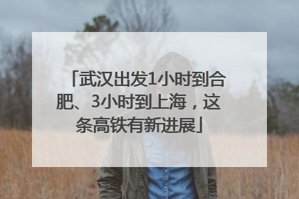 武汉出发1小时到合肥、3小时到上海，这条高铁有新进展
