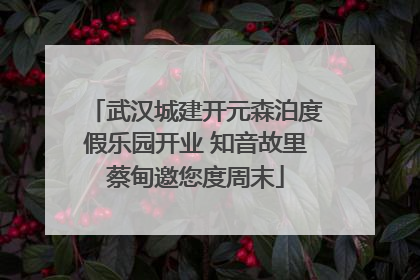 武汉城建开元森泊度假乐园开业 知音故里蔡甸邀您度周末