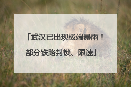 武汉已出现极端暴雨！部分铁路封锁、限速