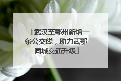 武汉至鄂州新增一条公交线，助力武鄂同城交通升级