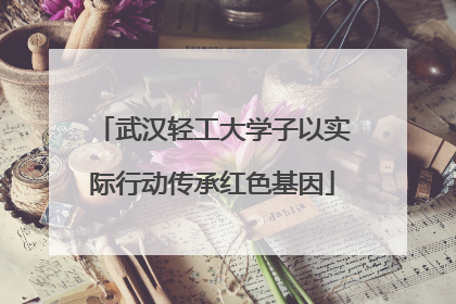 武汉轻工大学子以实际行动传承红色基因