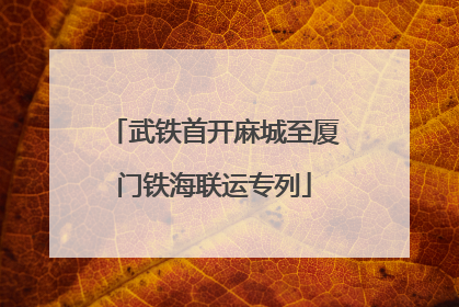 武铁首开麻城至厦门铁海联运专列