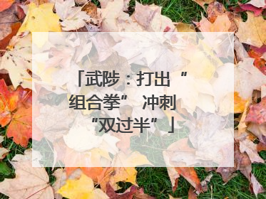 武陟：打出“组合拳” 冲刺“双过半”
