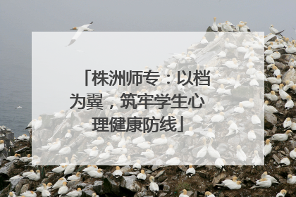 株洲师专：以档为翼，筑牢学生心理健康防线