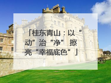 桂东青山：以“动”治“净” 擦亮“幸福底色”