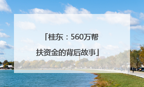 桂东：560万帮扶资金的背后故事