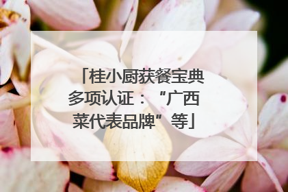 桂小厨获餐宝典多项认证：“广西菜代表品牌”等