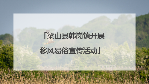 梁山县韩岗镇开展移风易俗宣传活动