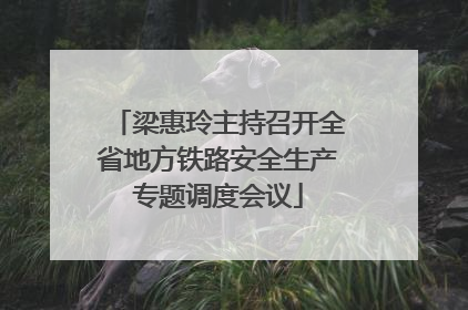 梁惠玲主持召开全省地方铁路安全生产专题调度会议