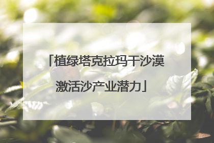 植绿塔克拉玛干沙漠 激活沙产业潜力