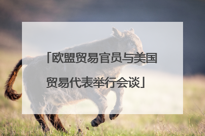 欧盟贸易官员与美国贸易代表举行会谈