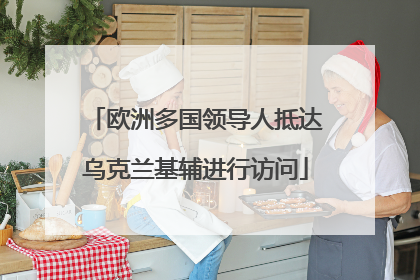 欧洲多国领导人抵达乌克兰基辅进行访问