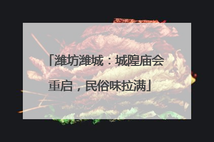 潍坊潍城：城隍庙会重启，民俗味拉满