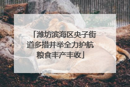 潍坊滨海区央子街道多措并举全力护航粮食丰产丰收