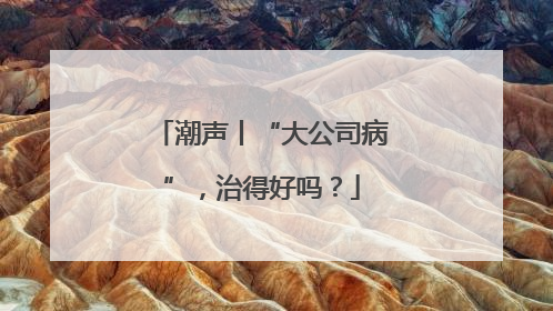 潮声丨“大公司病”，治得好吗？