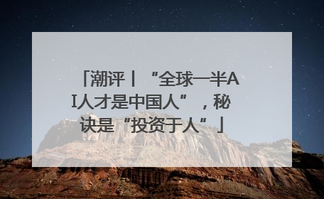 潮评丨“全球一半AI人才是中国人”，秘诀是“投资于人”