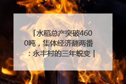 水稻总产突破4600吨，集体经济翻两番：永丰村的三年蜕变｜您牵挂的四川