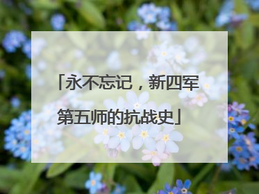 永不忘记，新四军第五师的抗战史