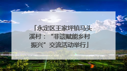永定区王家坪镇马头溪村：“非遗赋能乡村振兴”交流活动举行