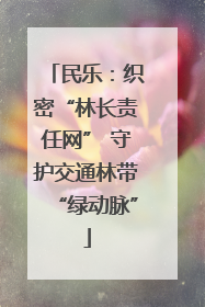 民乐：织密“林长责任网” 守护交通林带“绿动脉”