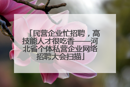 民营企业忙招聘，高技能人才很吃香——河北省个体私营企业网络招聘大会扫描