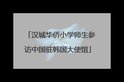 汉城华侨小学师生参访中国驻韩国大使馆