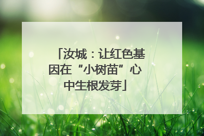 汝城：让红色基因在“小树苗”心中生根发芽