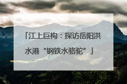 江上巨构：探访岳阳洪水港“钢铁水骆驼”