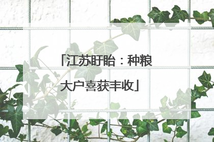 江苏盱眙：种粮大户喜获丰收