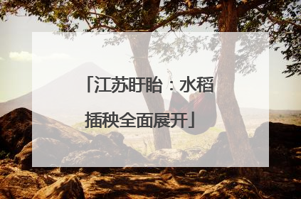 江苏盱眙：水稻插秧全面展开